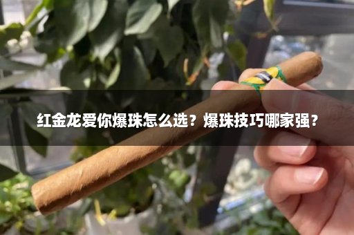 红金龙爱你爆珠怎么选？爆珠技巧哪家强？