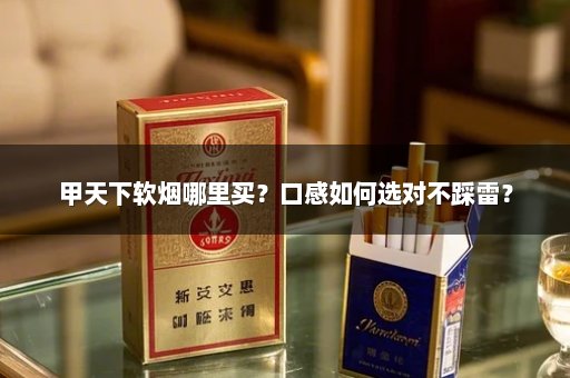 甲天下软烟哪里买？口感如何选对不踩雷？